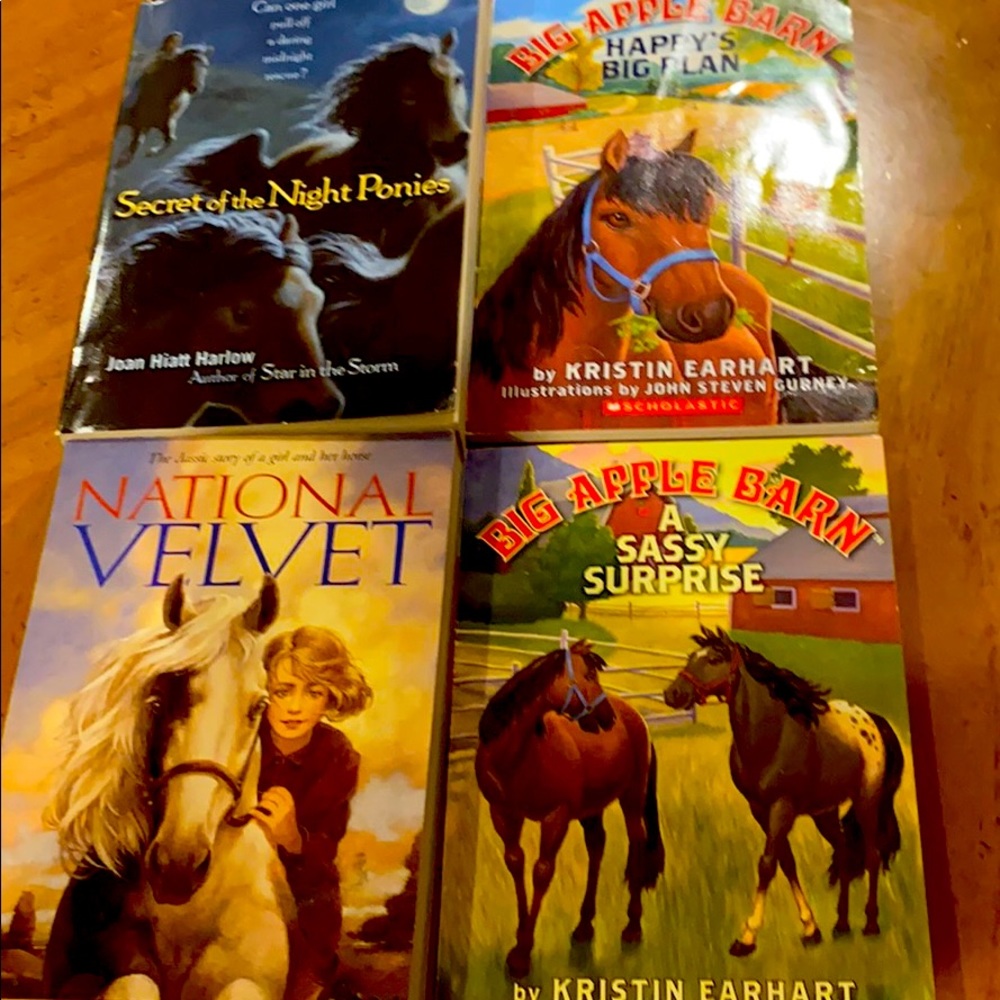 4 Books 📚 Bundle - classic 🐎 books loved by all